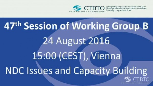 NDC Issues and Capacity Building